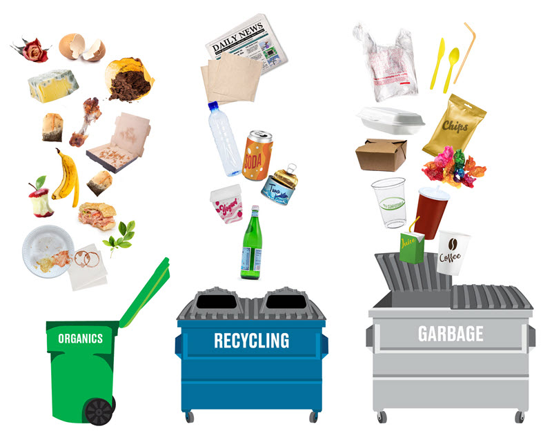 Waste sorted by organics, recycling and garbage