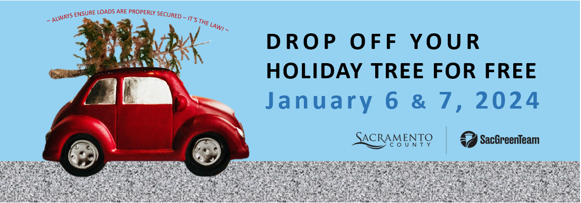 Drop-off your holiday tree for free January 6 & 7, 2024 – Learn more!