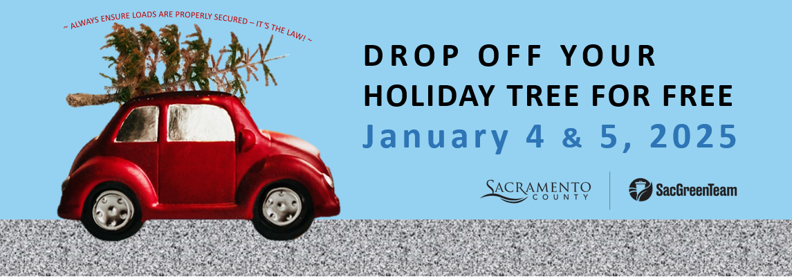 Drop-off your holiday tree for free, Jan. 4 and Jan. 5, 2025. Find out more. 