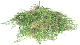 Green Waste Grass image
