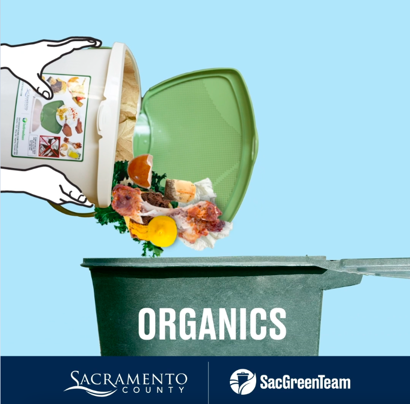 SacRecycle on X: When you order takeout, the plastic container