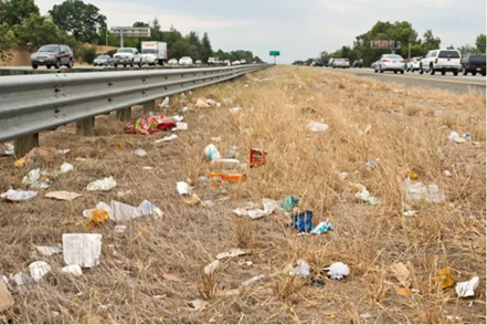 Litter.png